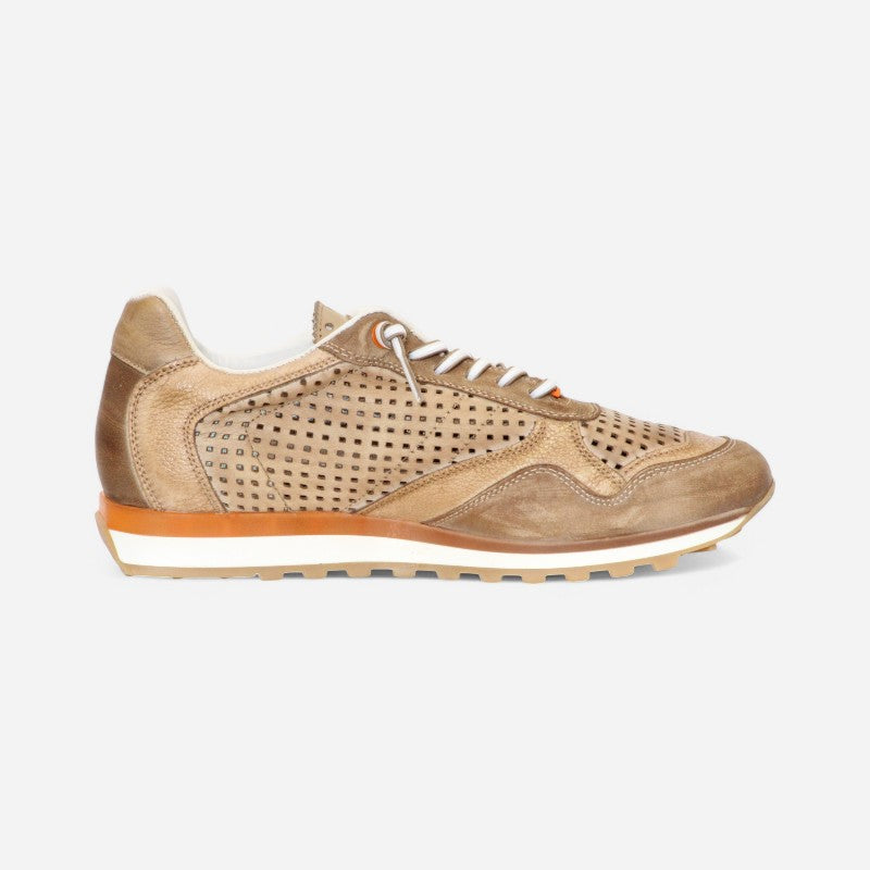 Cetti Men's C-848