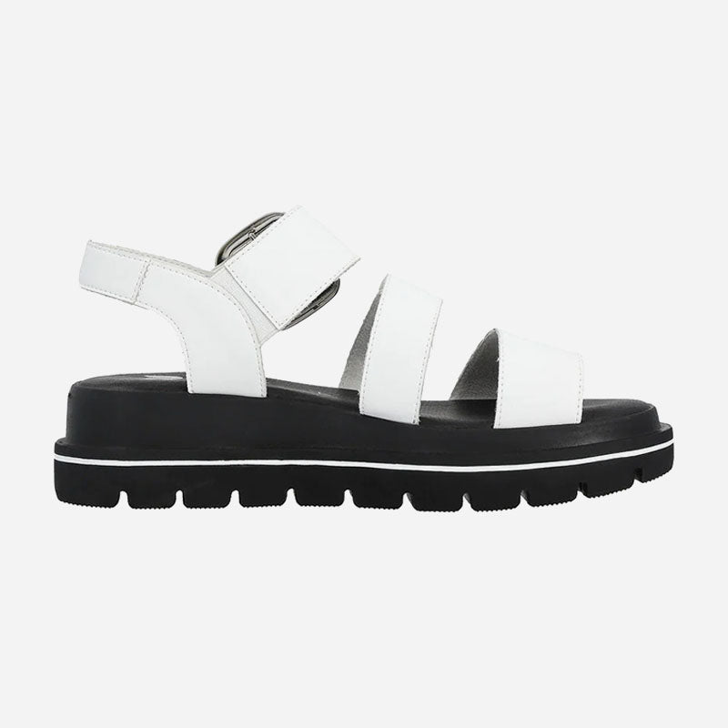 Ivory 50 White